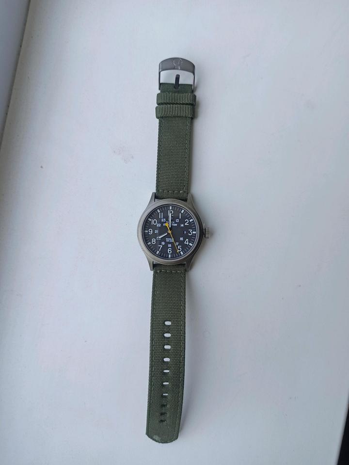 Timex Expedition