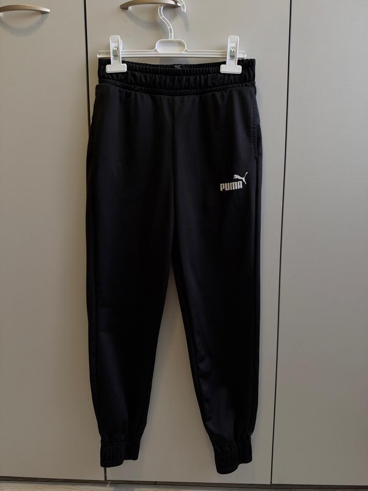 Спортивные брюки Puma