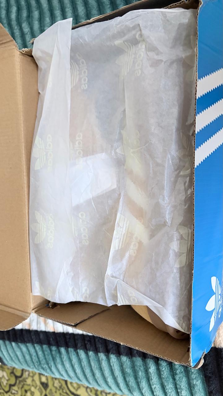 Кроссовки adidas Gazelle Indoor
