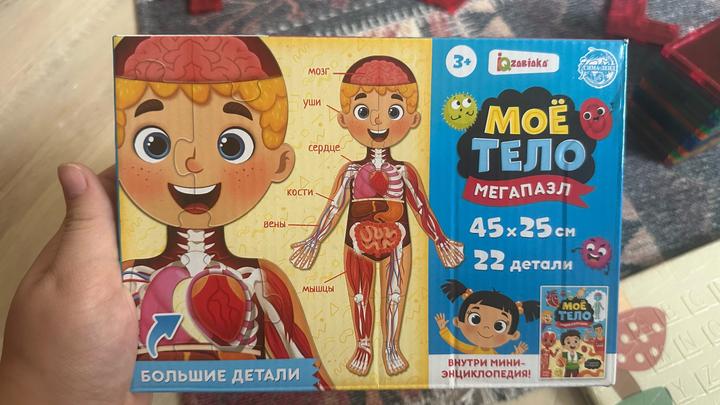 Пазлы, лото