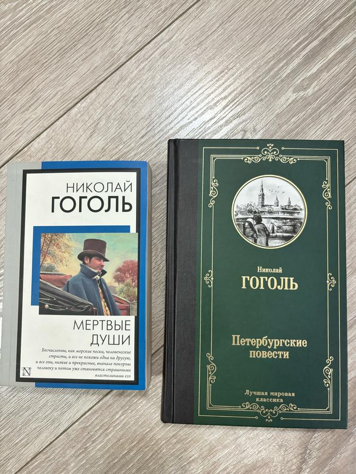 Николай Гоголь “Мертвые души” и “Петербургские повести”