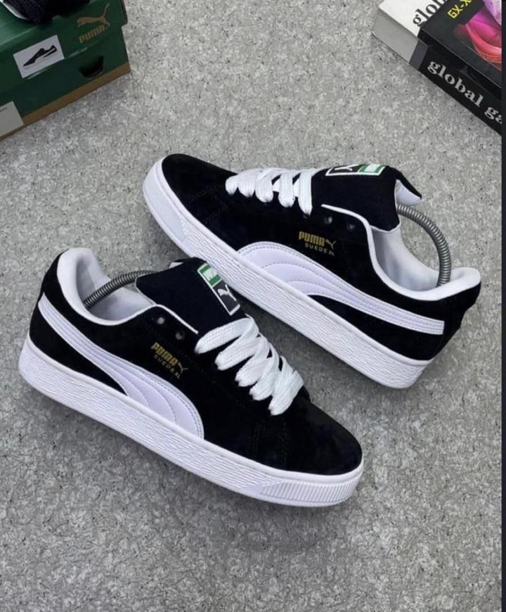 Puma