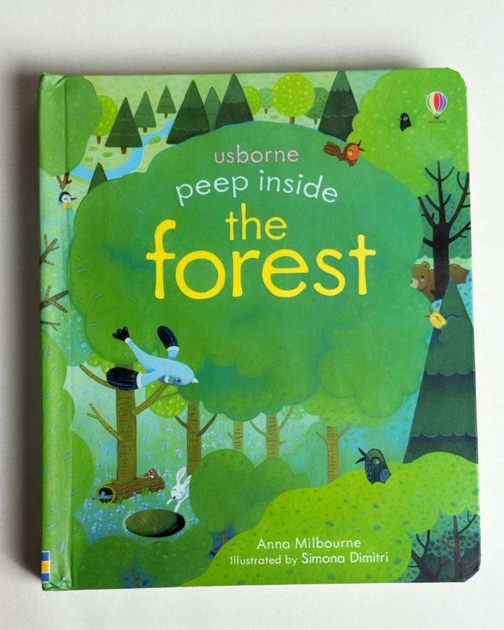 peep inside the forest