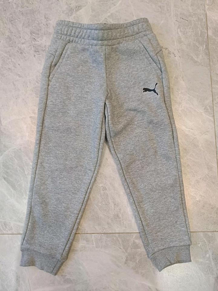 Puma