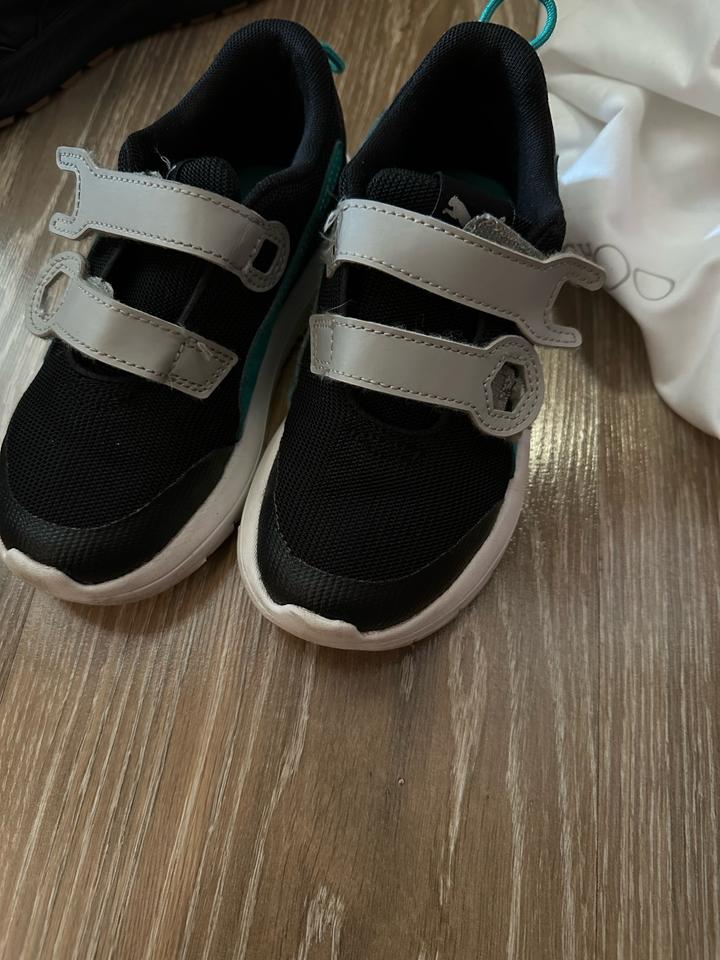 Puma