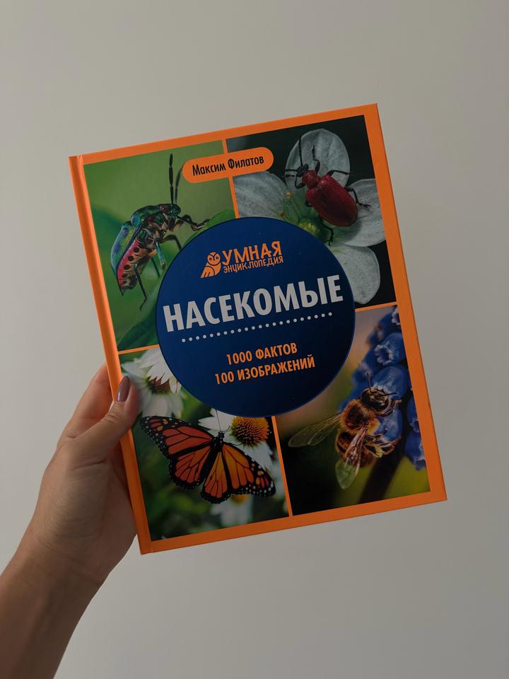 Нет бренда