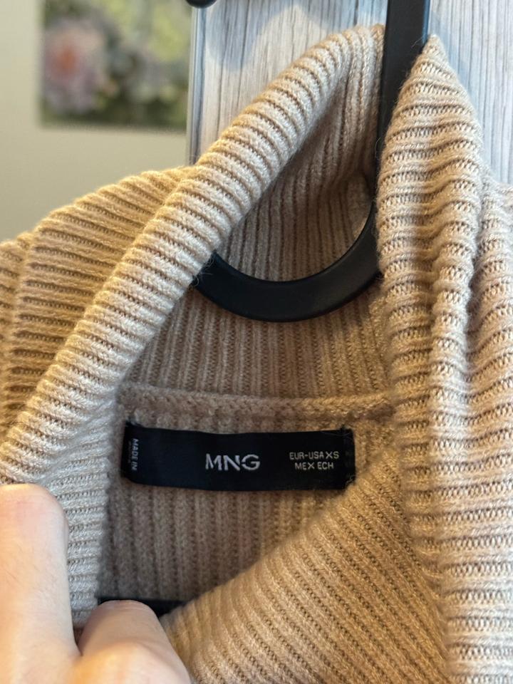 Mango