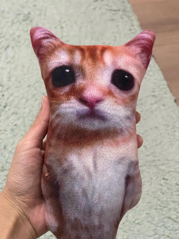 Мягкая игрушка кот