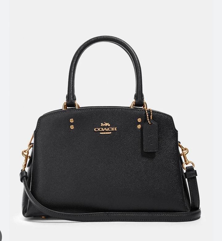 Coach Lillie Carryall