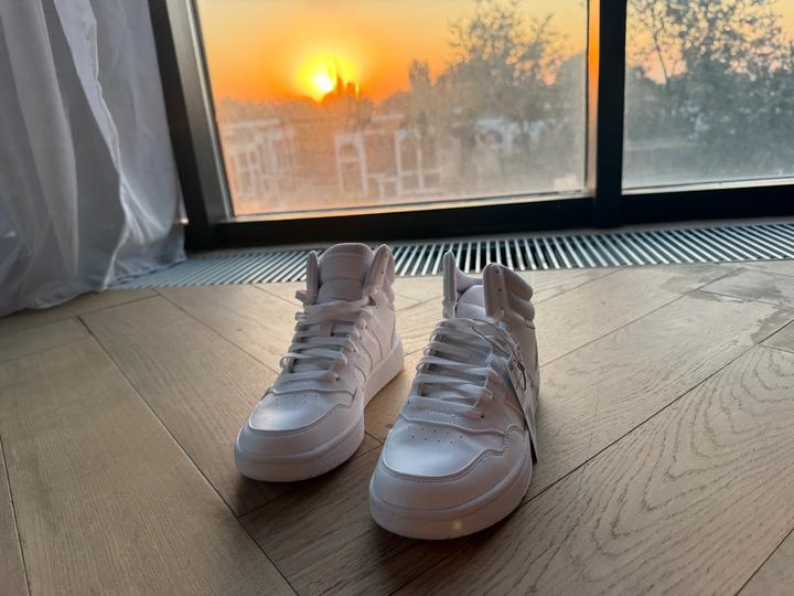 Кроссовки adidas Hoops 3.0