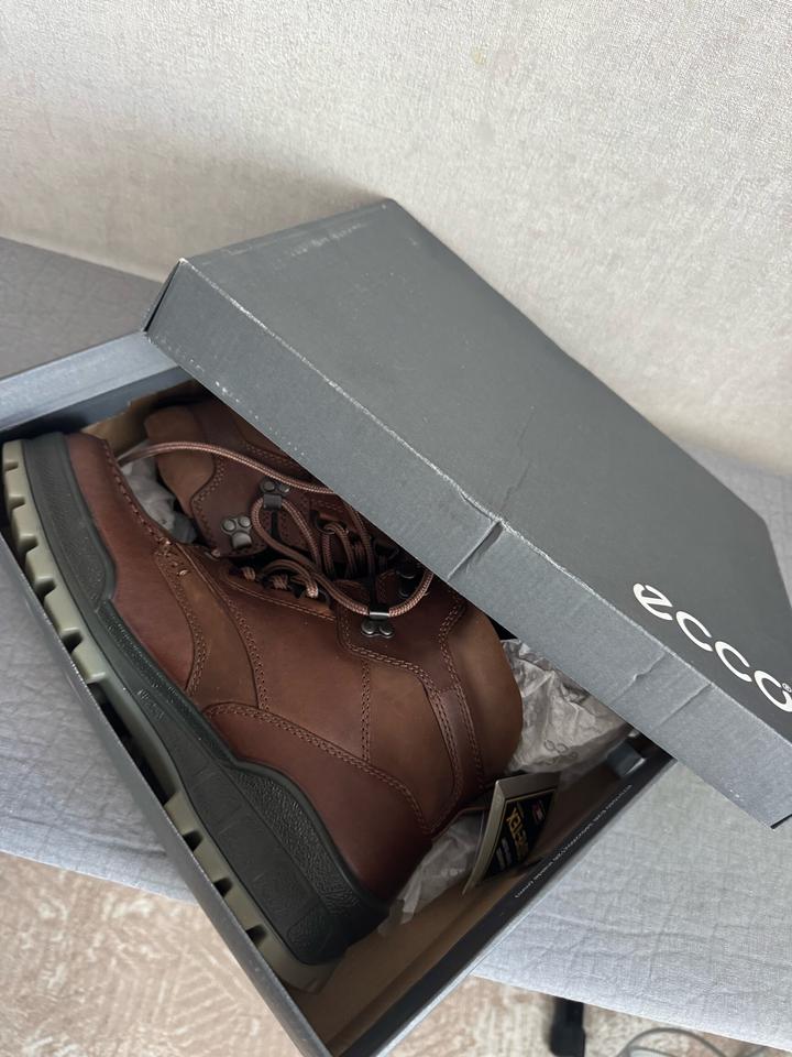 ECCO