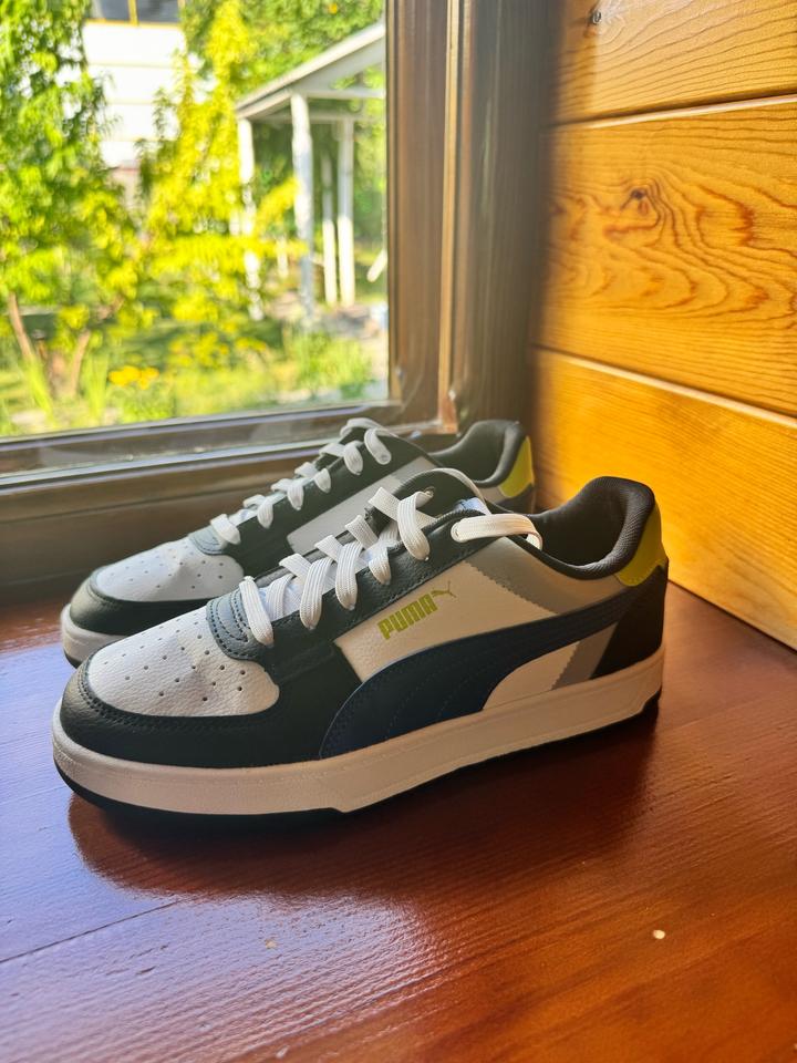 Puma