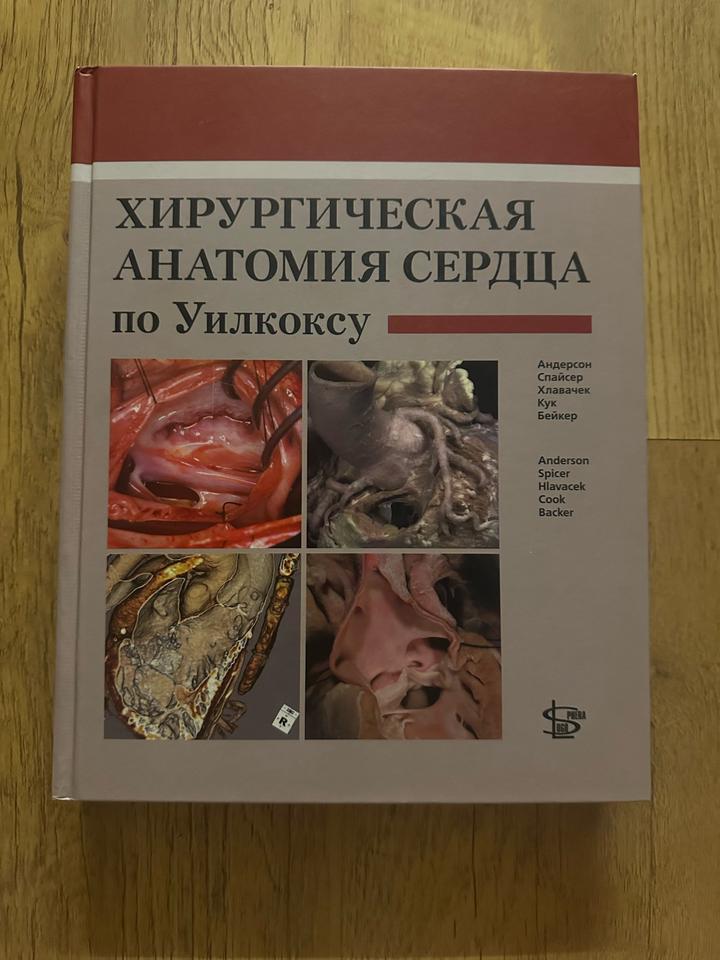 Хирургическая анатомия сердца по Уилкоксу