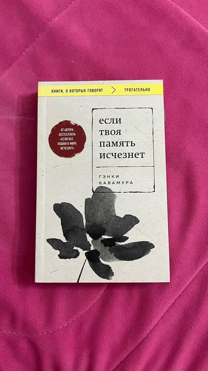 Если твоя память исчезнет