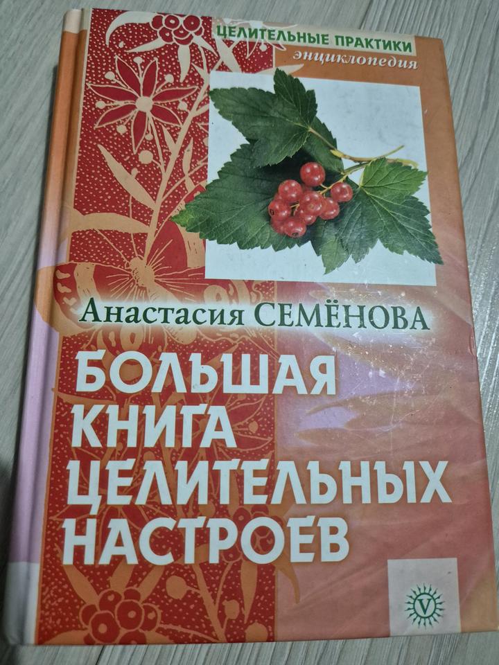 Большая книга целительных настоев, А. СЕМЕНОВА