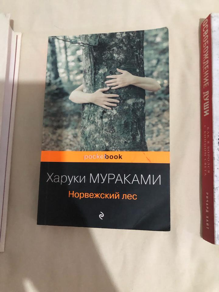 Книга харуки мураками