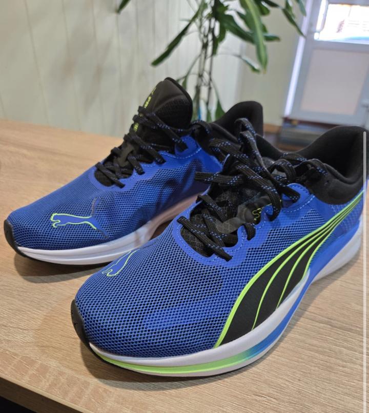 Puma