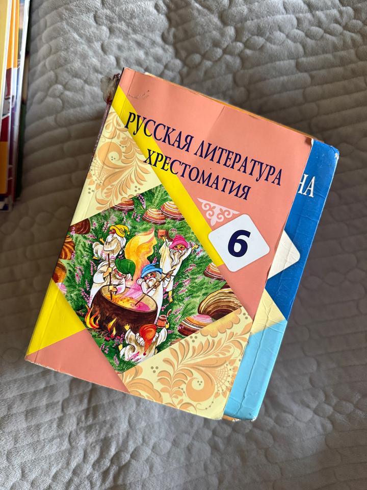 Комплект учебников за 6 класс