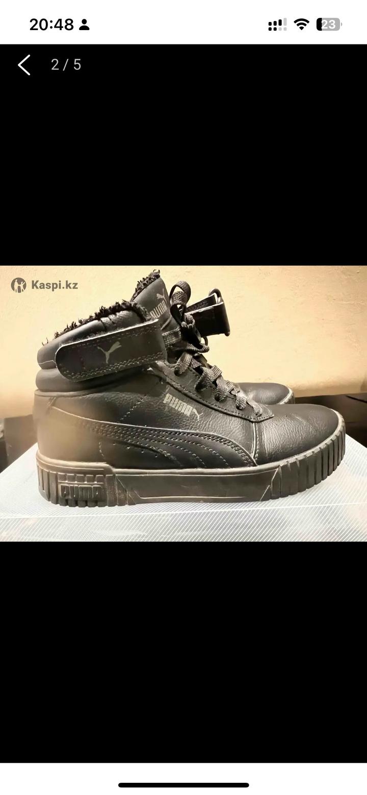 Puma