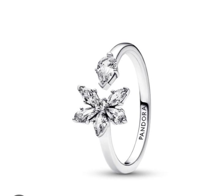 Pandora