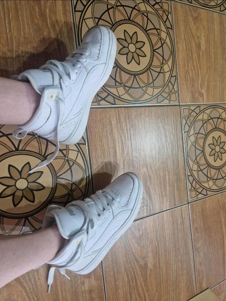 Puma