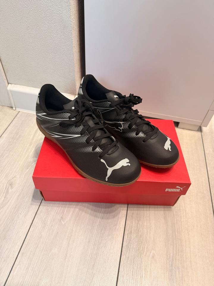Puma