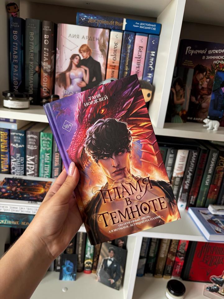 Книга «Пламя в темноте»