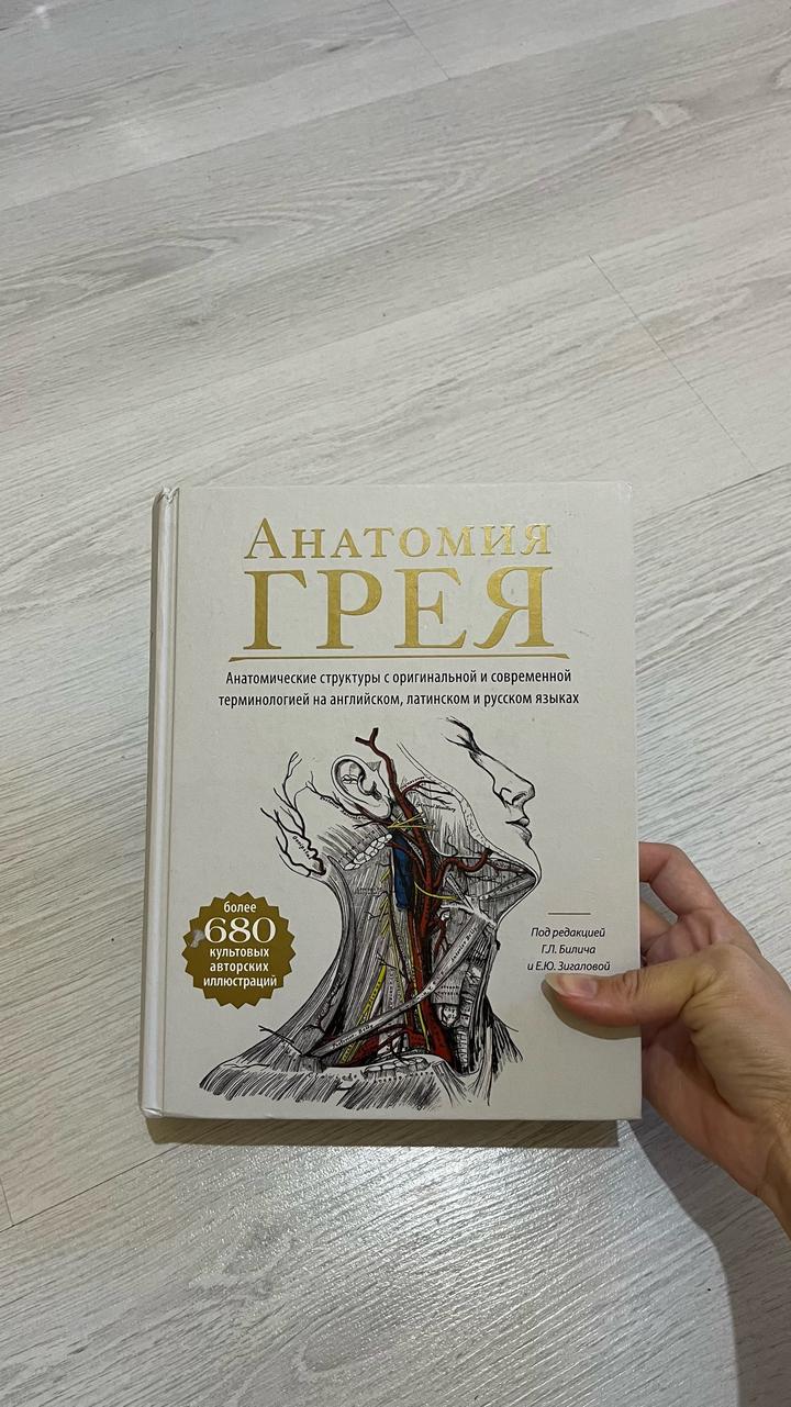 Анатомия Грея
