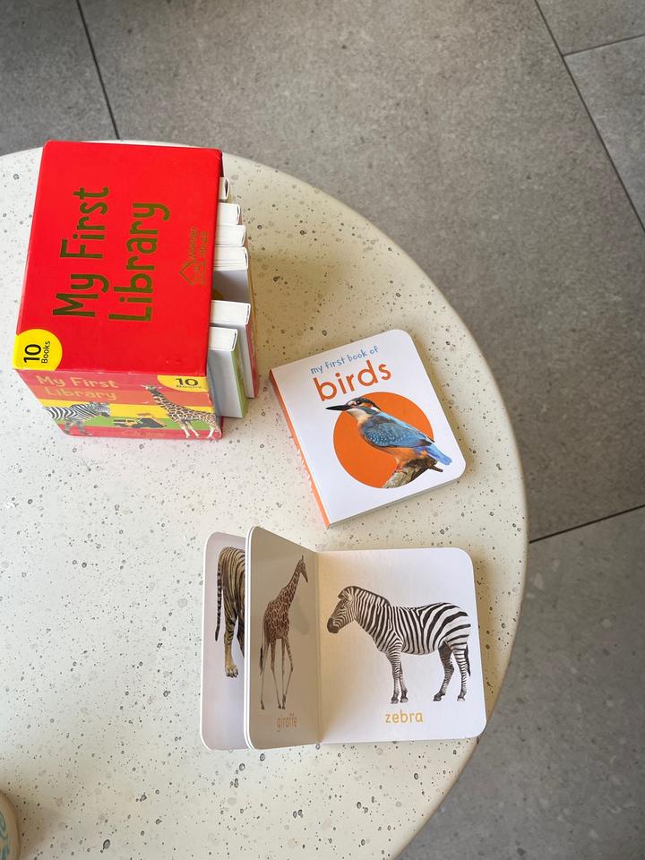 Набор детских книг на английском: my first library