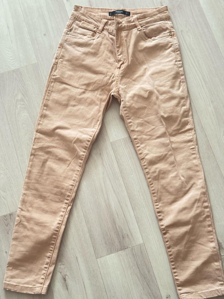 Mango
