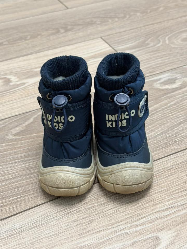 Indigo Kids