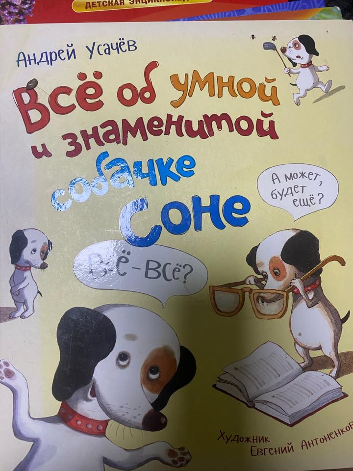 Всё об умной и знаменитой собачке Соне