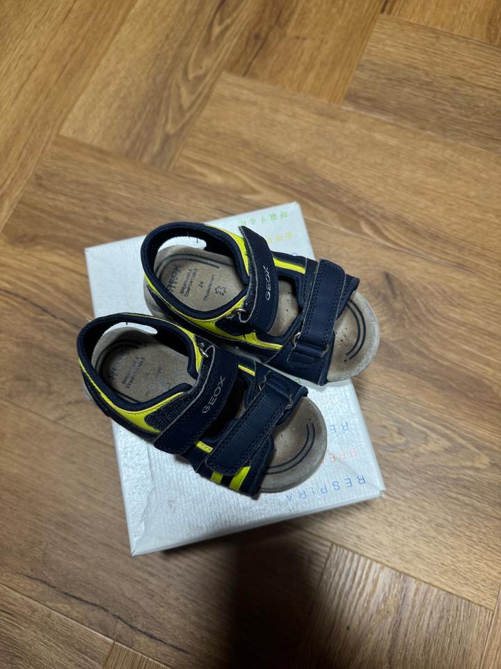 Geox