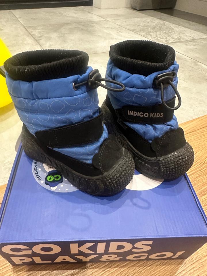 Indigo Kids