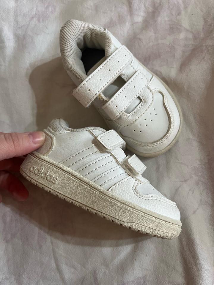 Кеды adidas