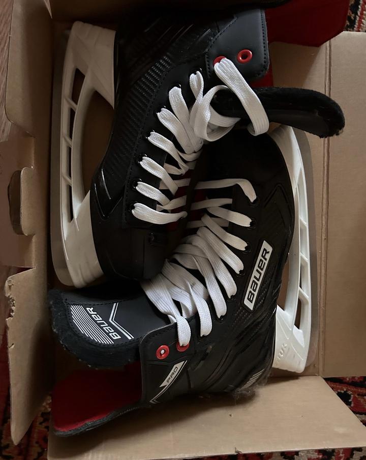 Bauer