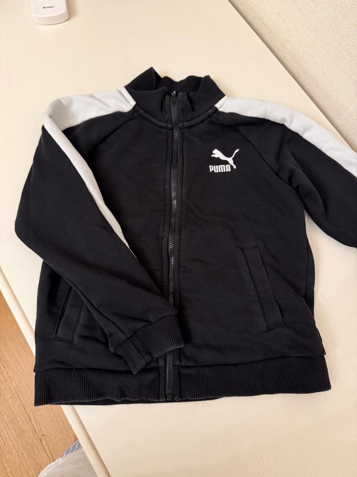 Puma
