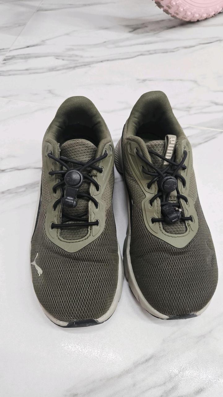Puma
