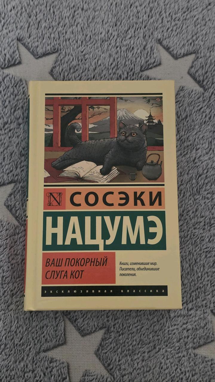 Сосэки Нацумэ - Ваш покорный слуга