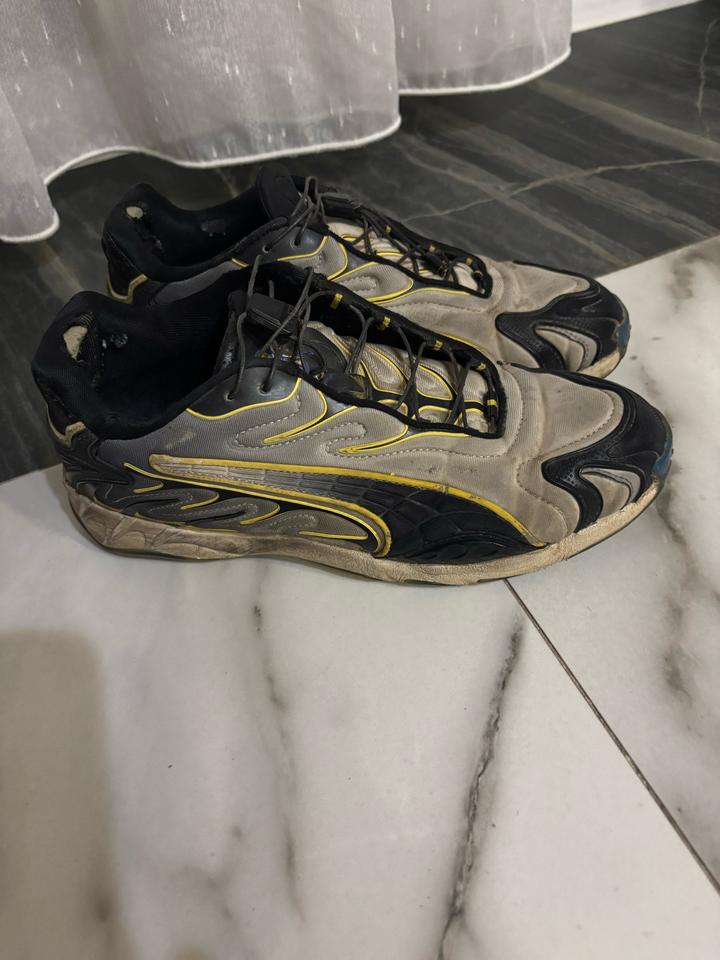 Puma