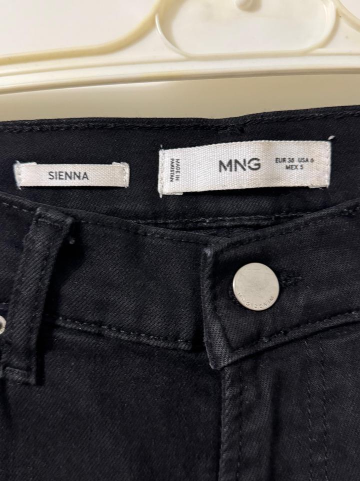 Mango