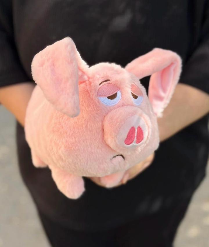 Мягкая игрушка