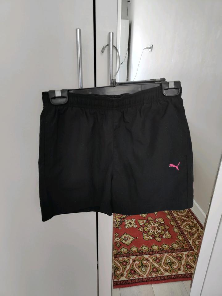 Puma