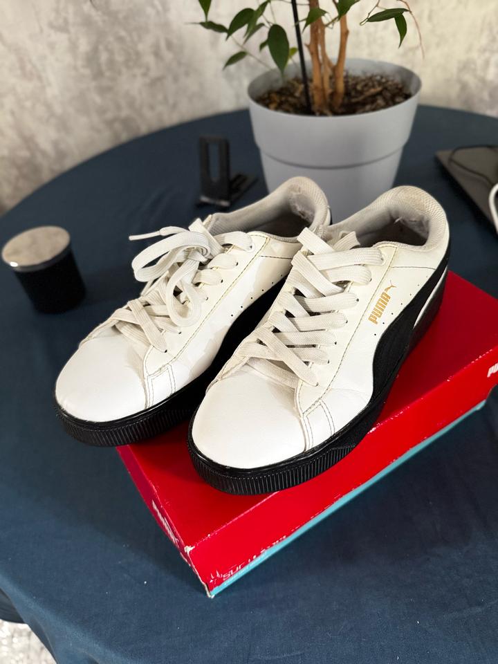 Puma