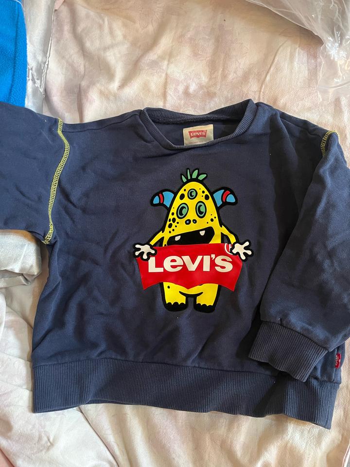 Свитшот Levi's