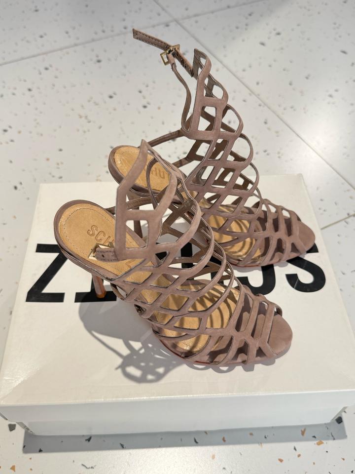 Schutz