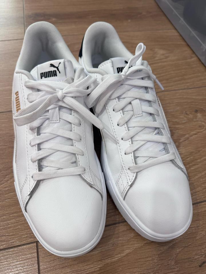 Puma
