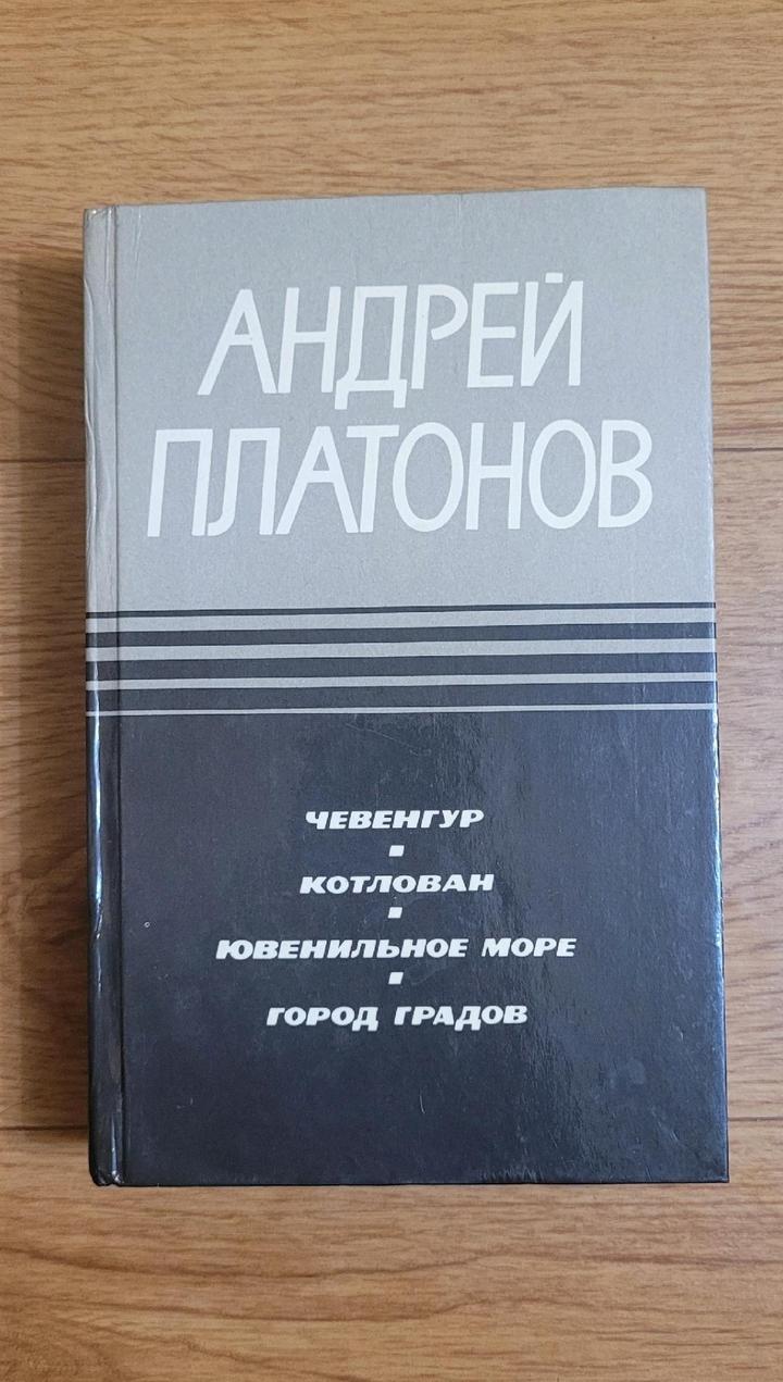 Андрей Платонов "Чевенгур" "Котлован" "Ювенильное  море" "Город Градов"