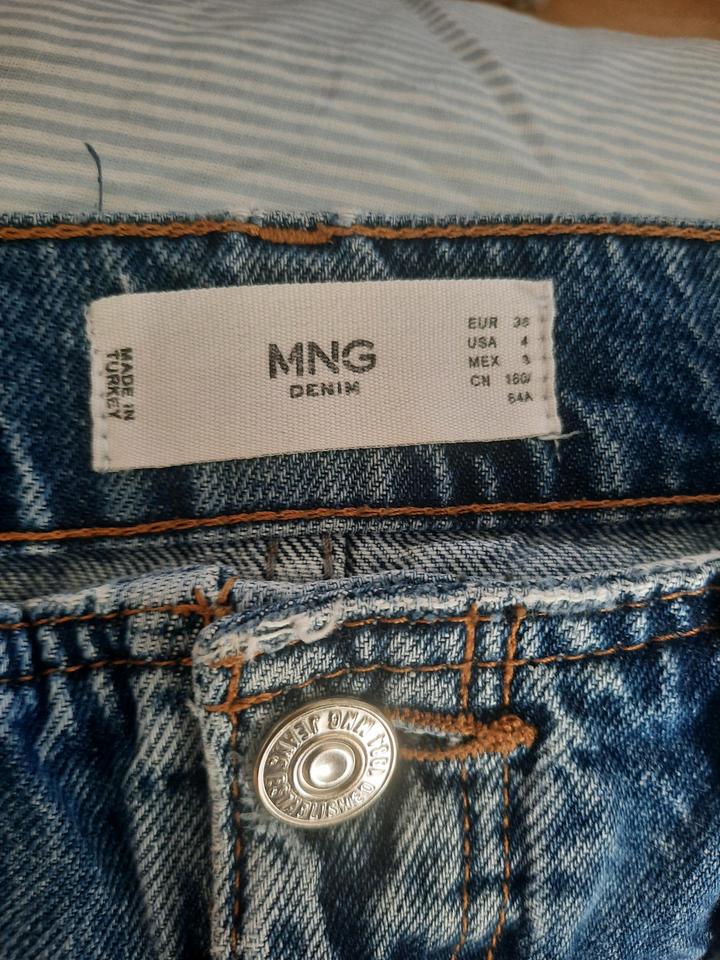 Mango