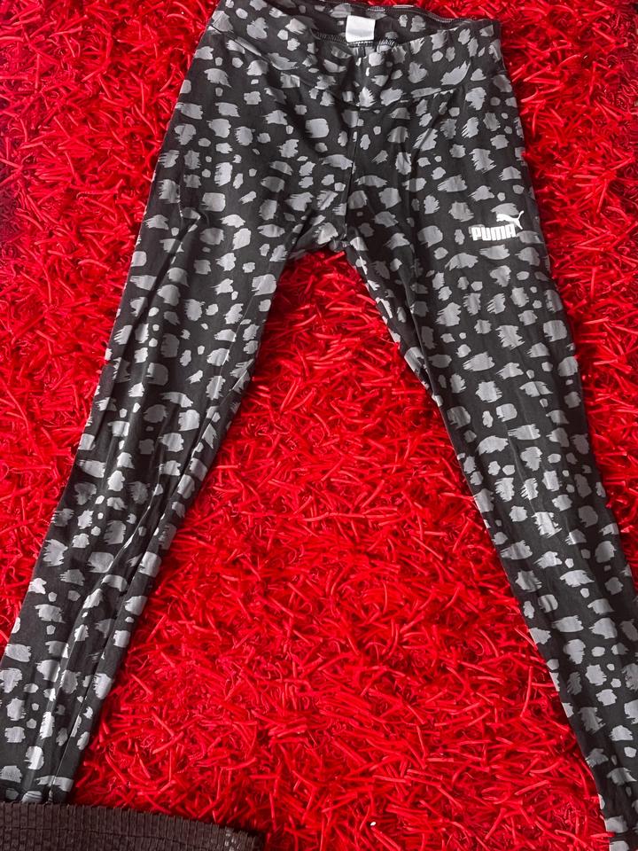Puma